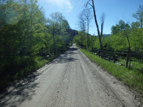 GDMBR: Riding through the cool shadows of trees.